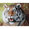 Maľovanie podľa čísel - TIGER S OTVORENOU TLAMOU PORTRÉT (D. RUSTY RUST)