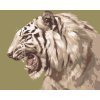 Maľovanie podľa čísel - REVÚCI BIELY TIGER PORTRÉT (D. RUSTY RUST)