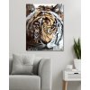 Maľovanie podľa čísel - TIGER, ÚDOLIE A VODOPÁD (D. RUSTY RUST)