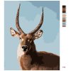 Maľovanie podľa čísel - ANTILOPA PORTRÉT (D. RUSTY RUST)