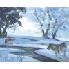 Maľovanie podľa čísel - VLCI PRI RIKE V ZIME (D. RUSTY RUST)
