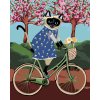 Maľovanie podľa čísel - MAČIČKA NA BICYKLI