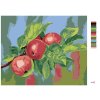 Maľovanie podľa čísel - JABLOŇ