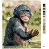Maľovanie podľa čísel - ŠŤASTNÝ ŠIMPANZ