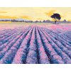 Maľovanie podľa čísel - LEVANDUĽOVÉ POLE SO STROMOM