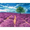 Maľovanie podľa čísel - POLE LEVANDULÍ SO STROMOM
