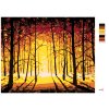 Maľovanie podľa čísel - ZÁPAD SLNKA V JESENNOM LESE