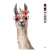 Malowanie po numerach - LAMA W OKULARACH