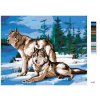 Maľovanie podľa čísel - PÁR VLKOV PRI LESE