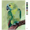 Maľovanie podľa čísel - PAPAGÁJ (MYROSLAVA VOLOSCHUK)