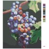 Maľovanie podľa čísel - MODRÉ HROZNO (MYROSLAVA VOLOSCHUK)
