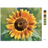 Maľovanie podľa čísel - KVET SLNEČNICE