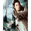 Maľovanie podľa čísel - ARWEN NA KONI (PÁN PRSTENOV)