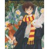 Maľovanie podľa čísel - HARRY POTTER, HEDVIKA A FÉNIX FAWKES