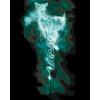 Maľovanie podľa čísel - EXPECTO PATRONUM LAŇ (HARRY POTTER)