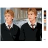 Maľovanie podľa čísel - FRED A GEORGE WEASLEYOVI (HARRY POTTER)