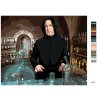 Maľovanie podľa čísel - SEVERUS SNAPE V UČEBNE LEKTVAROV (HARRY POTTER)
