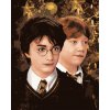 Maľovanie podľa čísel - HARRY POTTER A RON WEASLY VIANOCE