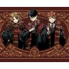 Maľovanie podľa čísel - HARRY POTTER, RON A HERMIONA V CHRABROMILSKOM HÁBITE