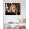 Maľovanie podľa čísel - DUMBLEDORE PRI SOVIOM REČNÍCKOM PULTE (HARRY POTTER)