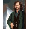 Maľovanie podľa čísel - SIRIUS BLACK (HARRY POTTER)