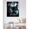 Maľovanie podľa čísel - PLAGÁT HARRY POTTER A RELIKVIA SMRTI - NA ÚTEKU