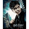 Maľovanie podľa čísel - PLAGÁT HARRY POTTER A RELIKVIA SMRTI