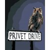Maľovanie podľa čísel - SOVA NA CEDULI PRADIARSKEJ ULICE (HARRY POTTER)