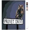 Maľovanie podľa čísel - SOVA NA CEDULI PRADIARSKEJ ULICE (HARRY POTTER)
