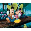 Maľovanie podľa čísel - MICKEY MOUSE A MINNIE S DÁŽDNIKMI Z LISTOV