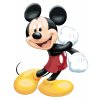 Maľovanie podľa čísel - USMIEVAVÝ MICKEY MOUSE