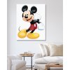 Maľovanie podľa čísel - USMIEVAVÝ MICKEY MOUSE