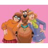 Maľovanie podľa čísel - SCOOBY, VELMA A DAPHNE (SCOOBY DOO)