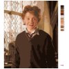 Maľovanie podľa čísel - RON V UČEBNI (HARRY POTTER)