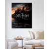 Maľovanie podľa čísel - PLAGÁT HARRY POTTER A RELIKVIA SMRTI - BRADAVICA