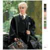 Maľovanie podľa čísel - DRACO S OBLUDÁRIOM (HARRY POTTER)