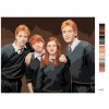 Maľovanie podľa čísel - FRED, GEORGE, RON A GINNY WEASLEYOVI (HARRY POTTER)