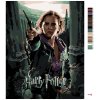 Maľovanie podľa čísel - PLAGÁT HARRY POTTER A RELIKVIA SMRTI - HERMIONA