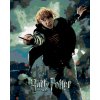 Maľovanie podľa čísel - PLAGÁT HARRY POTTER A RELIKVIA SMRTI - RON