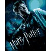 Maľovanie podľa čísel - PLAGÁT HARRY POTTER A POLOVIČNÝ PRINC