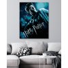 Maľovanie podľa čísel - PLAGÁT HARRY POTTER A POLOVIČNÝ PRINC