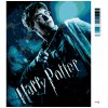 Maľovanie podľa čísel - PLAGÁT HARRY POTTER A POLOVIČNÝ PRINC