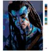 Maľovanie podľa čísel - JAKE SULLY (Avatar)