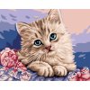 Maľovanie podľa čísel - MAČIČKA A RUŽOVÉ KVETY