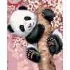 Maľovanie podľa čísel - PANDA NA ROZKVITNUTOM STROME