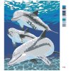 Maľovanie podľa čísel - DELFÍN S RODINKOU