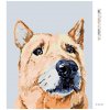 Diamantové maľovanie - SMUTNÝ PSÍK