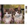 Maľovanie podľa čísel - MAČKY V TRÁVE