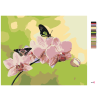 image with color metadata