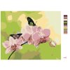 Maľovanie podľa čísel - ORCHIDEA S MOTÝLIKMI